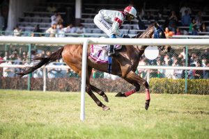 Top 10 Horse Racing Betting India: Tested & Ranked for Indian Players (2027)
